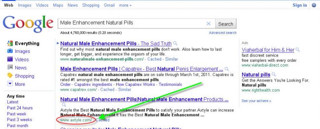 seo portfolio 1