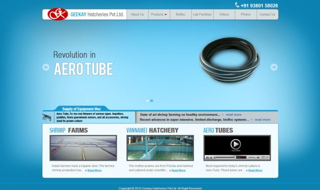 web 23
