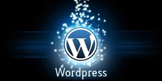 5 Important Reasons Why you should choose WordPress