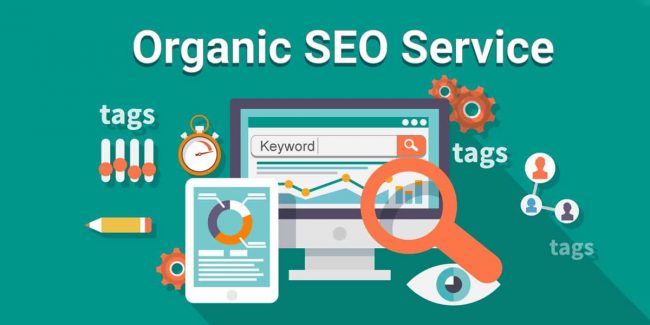 Organic SEO Service