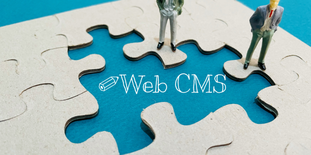 Use of the Best Custom CMS Solutions